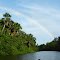 Orinoco Delta