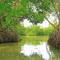 Laguna de Tagarigua - Caño