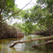 MANGLAR