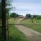 Ganado en casa(San Ignacio)