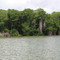 Manglares de la Laguna de Tacarigua