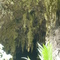 La Cueva
