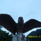 Monumento al Guacharo
