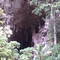 Cueva del Guacharo