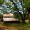 A beautiful old southern farm