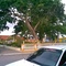 PLAZA ENTRADA DE URACOA