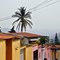 Urb Palamrito mcy II