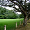 F.B.Haras la Quebrada el Consejo, Estado Aragua
