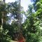 Watotopai