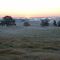 I lived to see another sunrise