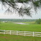 Farm Salem Church Road