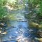 Whooping Creek