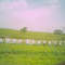 paisaje via zaraza-tucupido