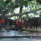 A tree temple near Dum Duma, Assam
