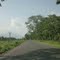 NH 31 C
