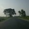 NH 31 - C Hasimara Srirampur section
