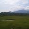 Holapara