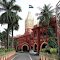 ODISHA HIGH COURT ~~~