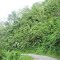 Seling to Champhai Road, Near Turini, Mizoram
