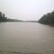 Alta dighi from south bank