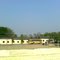 A.R.S public school