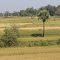 Beautiful Jharkhand, View from Train