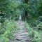 daporijo  bamboo road bridge