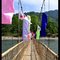 hanging bridge