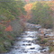 Near Douglasville