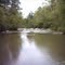   Dog River approx mid point between Highway 5 and Highway 166 bridges