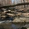 Dog River Park