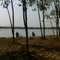 IB River bak