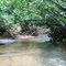 rajkandi reserve forest....jhiripath...