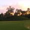 Mahabir Tea Garden