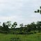 Entrance of Rajkandi reserve forest
