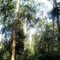 Rema-Kelenga Wildlife Sanctuary