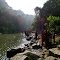 La giungla ai piedi della Madhop Kundo. Fall - Bangladesh