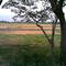 Near Ichapur Khal