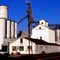Eastern Michigan Grain Emmett