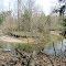 Confluence: Black River & Silver Creek