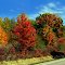 Today's Weather Report: 73°F and Fall Colors / Heutiger Wetterbericht: 21°C und Herbstfarben