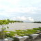 Gauripur Assam
