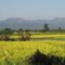 Beauty of nature