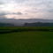 ziro dawn paddy fields june end