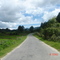 ziro (a arunachal pradesh hill station)