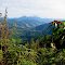 Arunachal Pradesh. Somewhere between Ziro and Daporijo