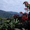 Arunachal Pradesh From Ziro to Daporijo