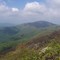 Summit of Mount Pleasant