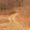 AT going South from Crabtree Falls Rd
