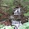 Crabtree Creek / Shoe Creek Trail